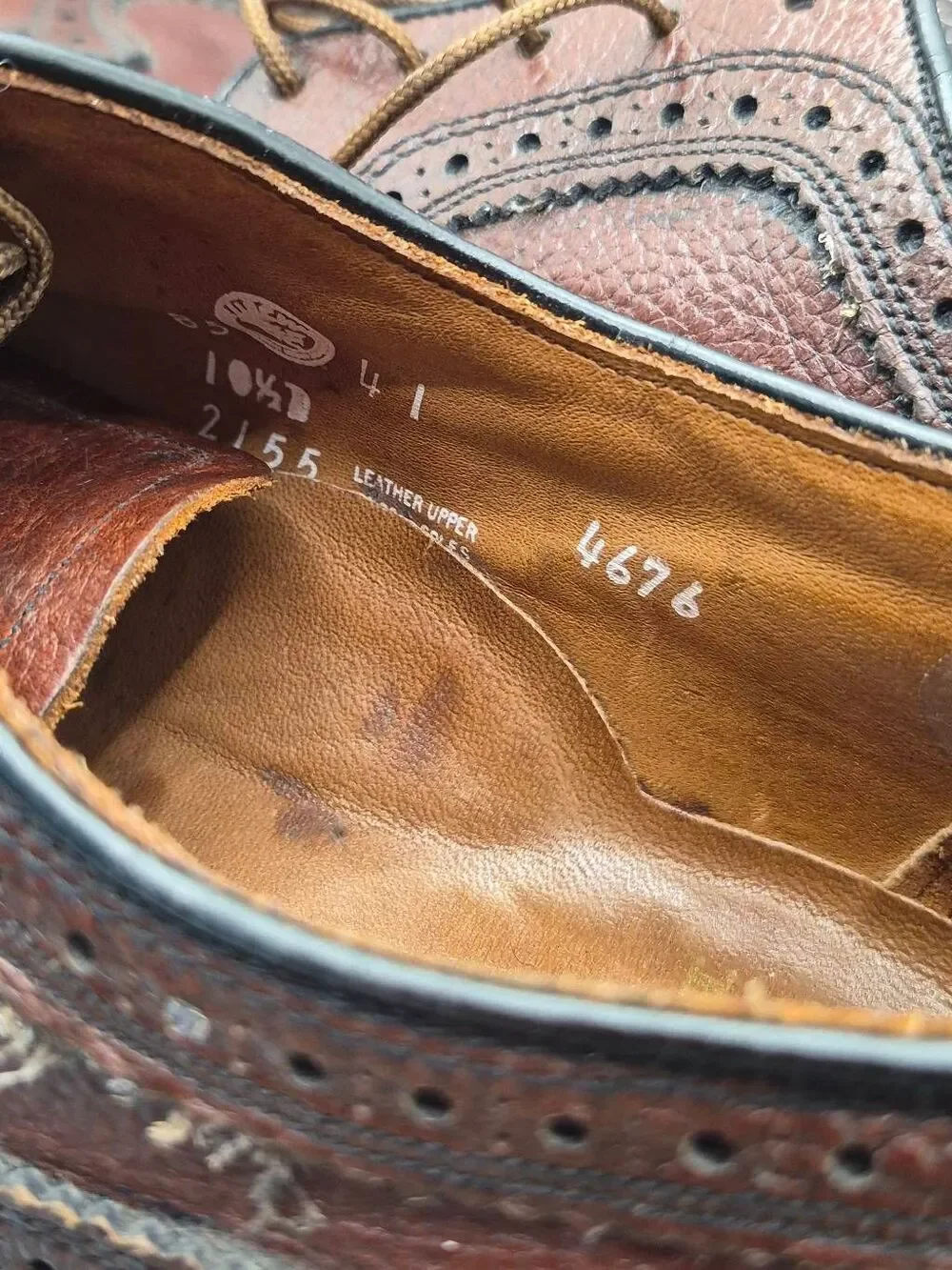 Boyd's wingtips